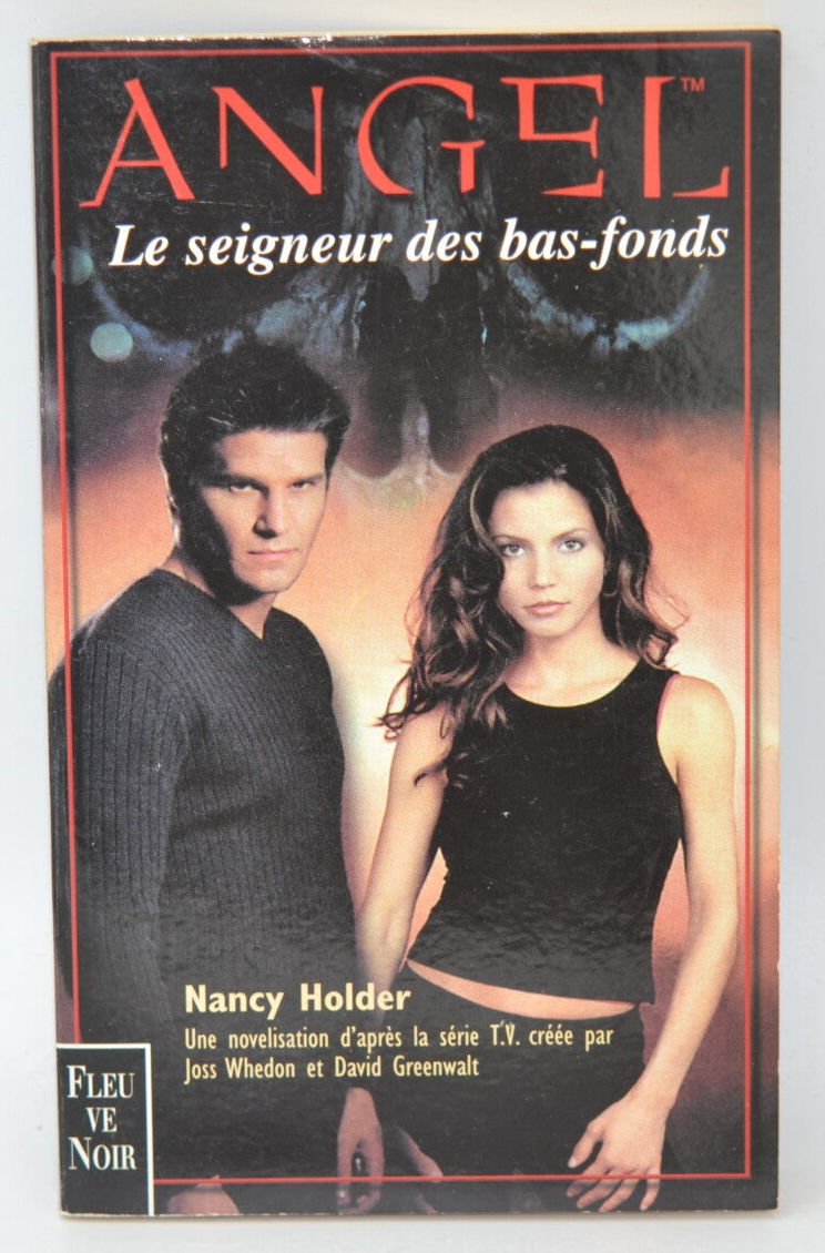 Angel: Lord of the Underworld - Nancy Holder - 2000 - book