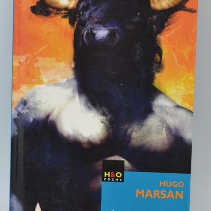 Le labyrinthe au coucher du soleil - Hugo Marsan - 2008 - livre