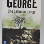 An Angel's Patience - Elizabeth George - 2011 - book