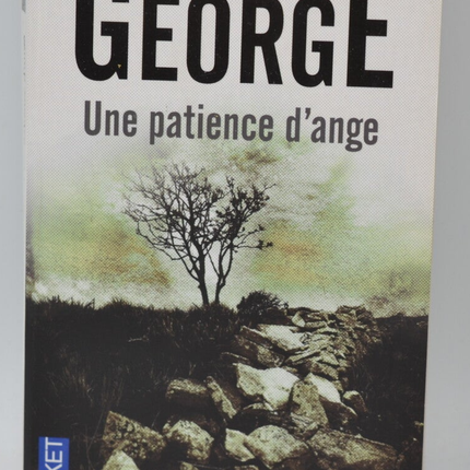An Angel's Patience - Elizabeth George - 2011 - book