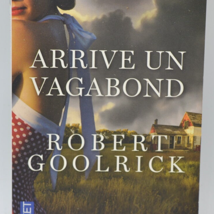 Da kommt ein Vagabund - Robert Goolrick - 2013 - Buch