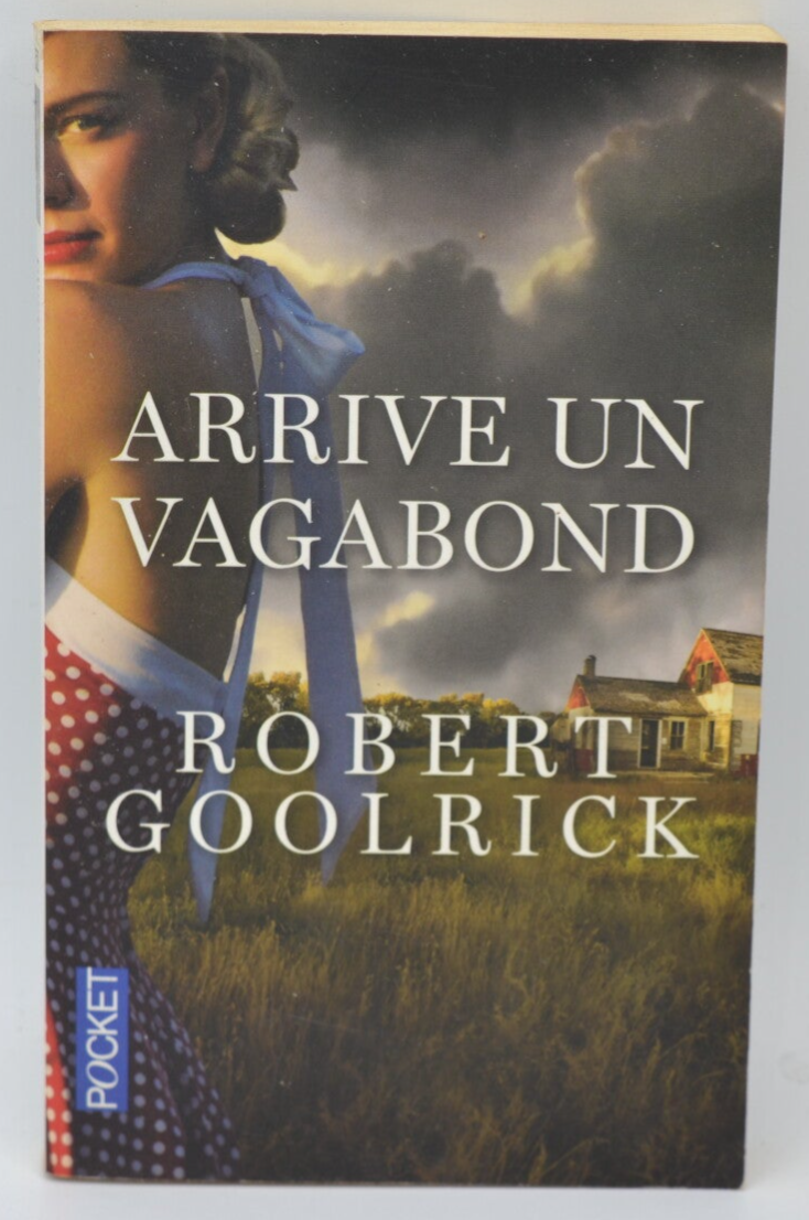 Along Comes a Vagabond - Robert Goolrick - 2013 - book