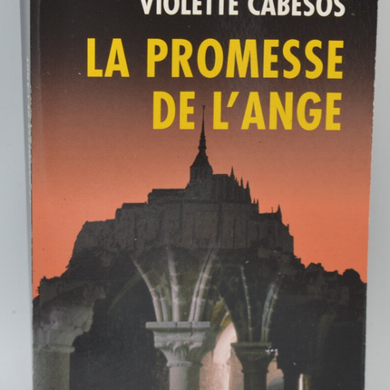 Das Versprechen des Engels - Frédéric Lenoir - 2007 - Buch