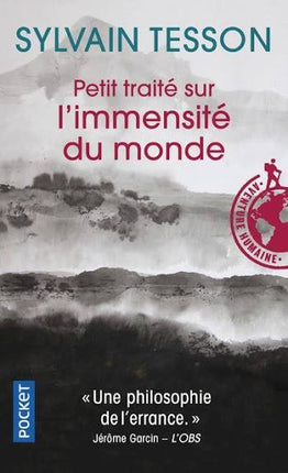 Petit traité sur l’immensité du monde - Sylvain Tesson - Récit de voyage d’occasion entre aventure, liberté et philosophie du voyage - livre