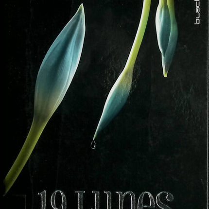 19 Moons - Kami Garcia, Margaret Stohl - 2013 - book