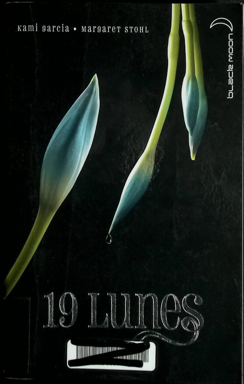 19 Monde – Kami Garcia, Margaret Stohl – 2013 – Buch