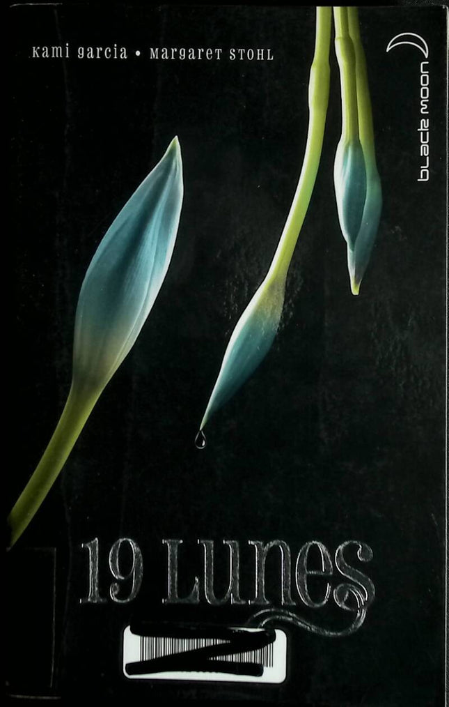 19 Monde – Kami Garcia, Margaret Stohl – 2013 – Buch