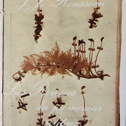 Les rêveries du promeneur solitaire - Jean-Jacques Rousseau - 1972 - livre