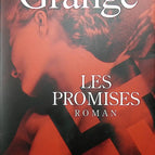 Die Versprechen – Jean-Christophe Grangé – 2021 – Buch