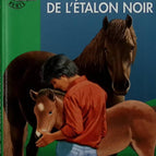 In the Footsteps of the Black Stallion - Green Library - Walter Farley - 2004 - book