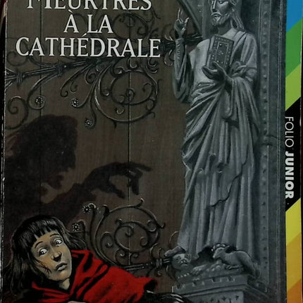Morde in der Kathedrale - Martine Pouchain - 2004 - Buch