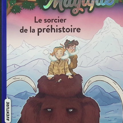 La Cabane magique Tome 6 – Le Sorcier de la préhistoire – Mary Pope Osborne – Roman jeunesse aventure et histoire - Livre