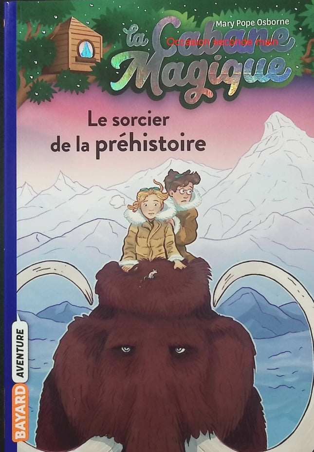 La Cabane magique Tome 6 – Le Sorcier de la préhistoire – Mary Pope Osborne – Roman jeunesse aventure et histoire - Livre