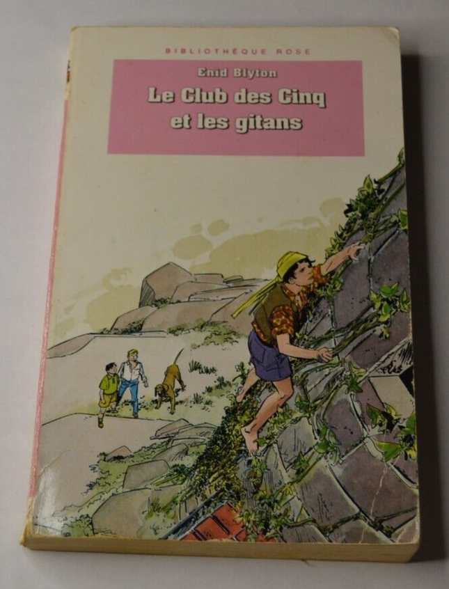 Die Fünf Freunde und die Zigeuner - Enid Blyton - Buch