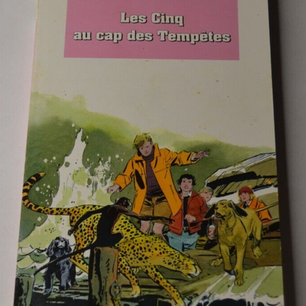 Die Fünf am Kap der Stürme - Buch