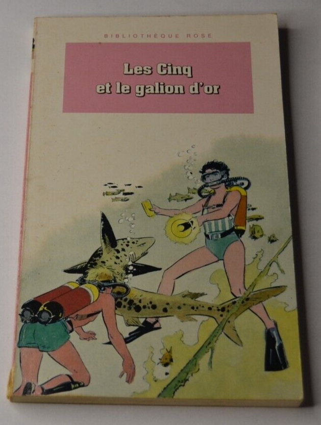 Die Fünf und die goldene Galeone - Buch