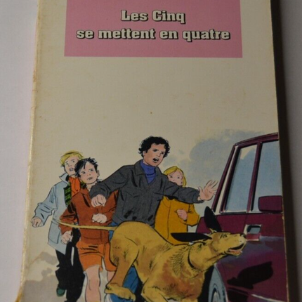 Die Fünffaltigkeit in Vier - Buch