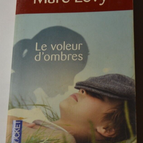 The Shadow Thief - Marc Levy - book