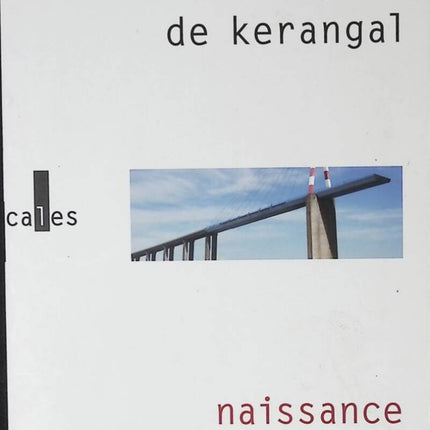 Geburt einer Brücke - Maylis de Kerangal - Buch