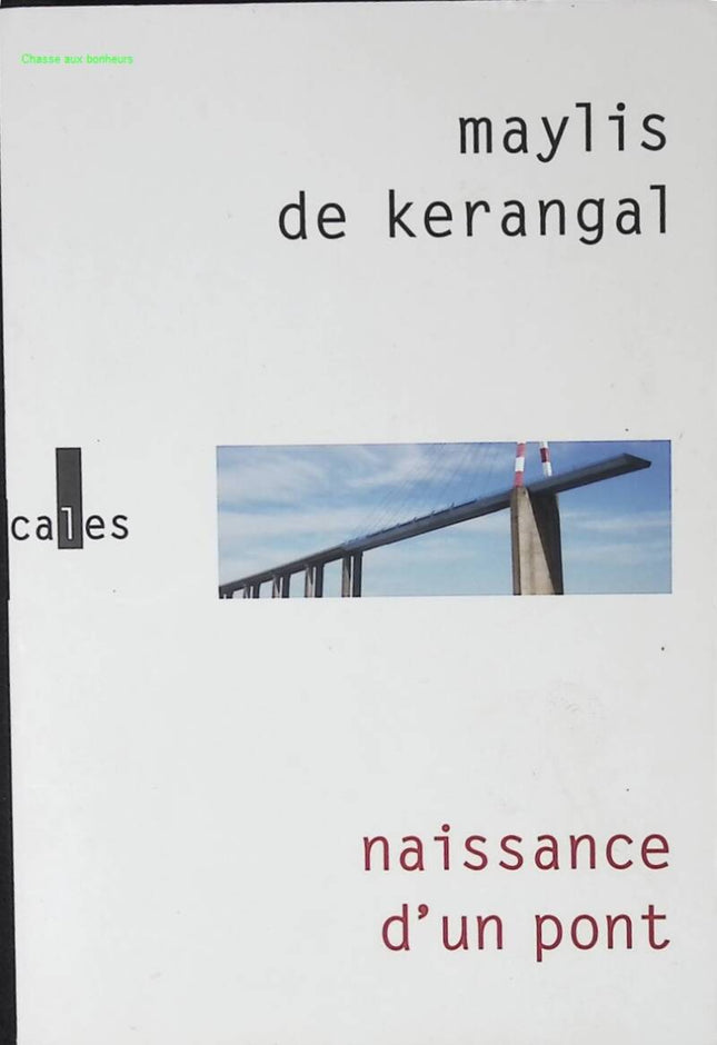 Naissance d'un pont - Maylis de Kerangal - livre