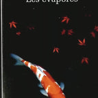 Les évaporés - Thomas B. Reverdy - 2015 - livre