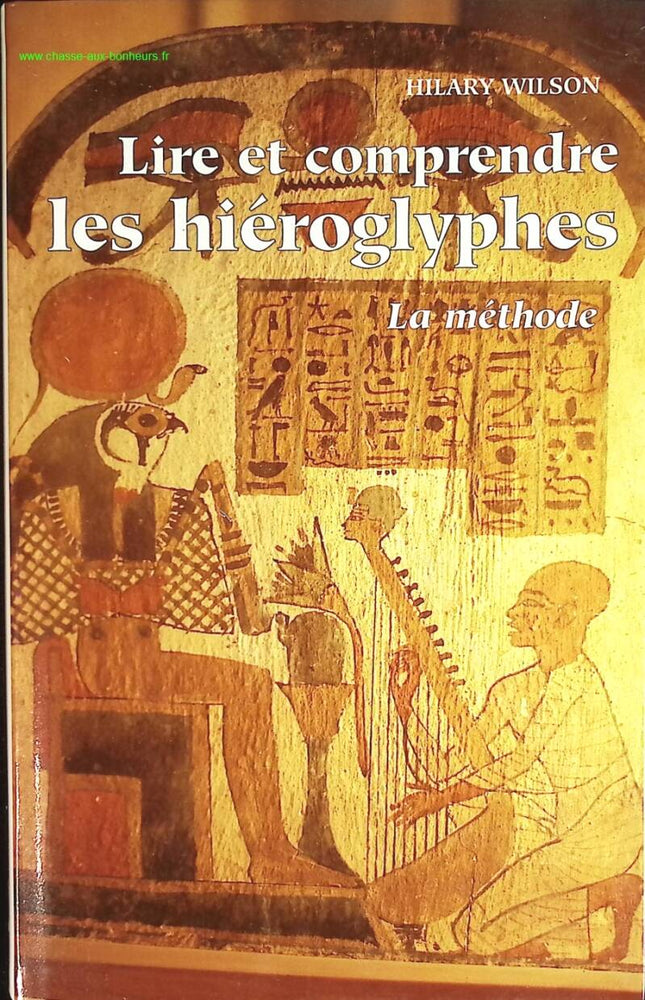 Reading and Understanding Hieroglyphics. The Method - Hilary Wilson - book