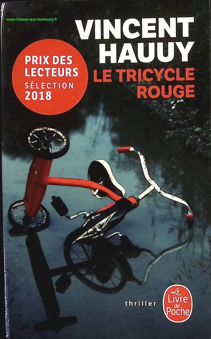 The Red Tricycle - Vincent Hauuy - Book