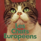 Europäische Kurzhaarkatzen - Jean-Louis Festjens - Buch