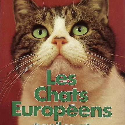 Europäische Kurzhaarkatzen - Jean-Louis Festjens - Buch