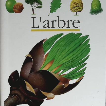 The Tree - Pascale De Bourgoing - 1989 - book