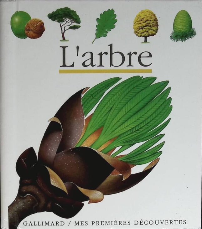 L'arbre - Pascale De Bourgoing - 1989 - livre