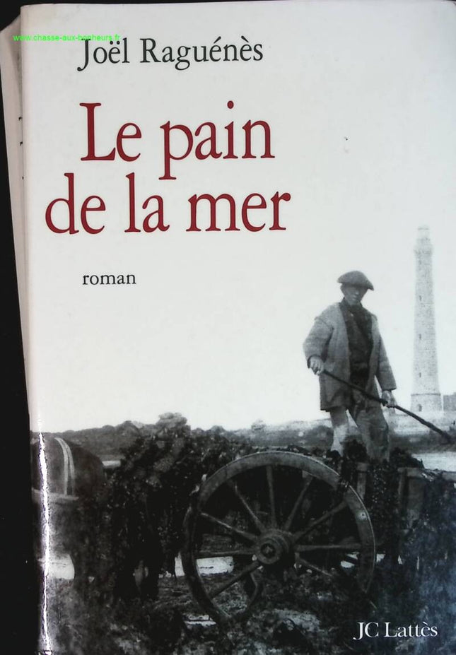 Brot aus dem Meer - Joël Raguenes - Buch