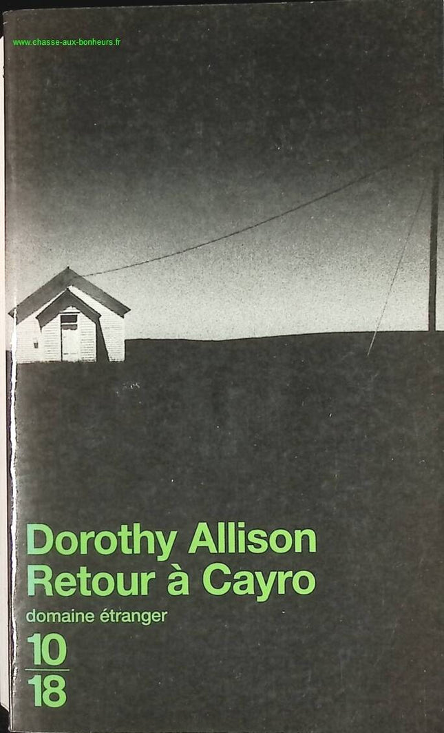 Rückkehr nach Cayro - Dorothy Allison - Buch