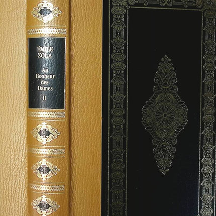The Ladies' Paradise Volume 2 - Emile Zola - book