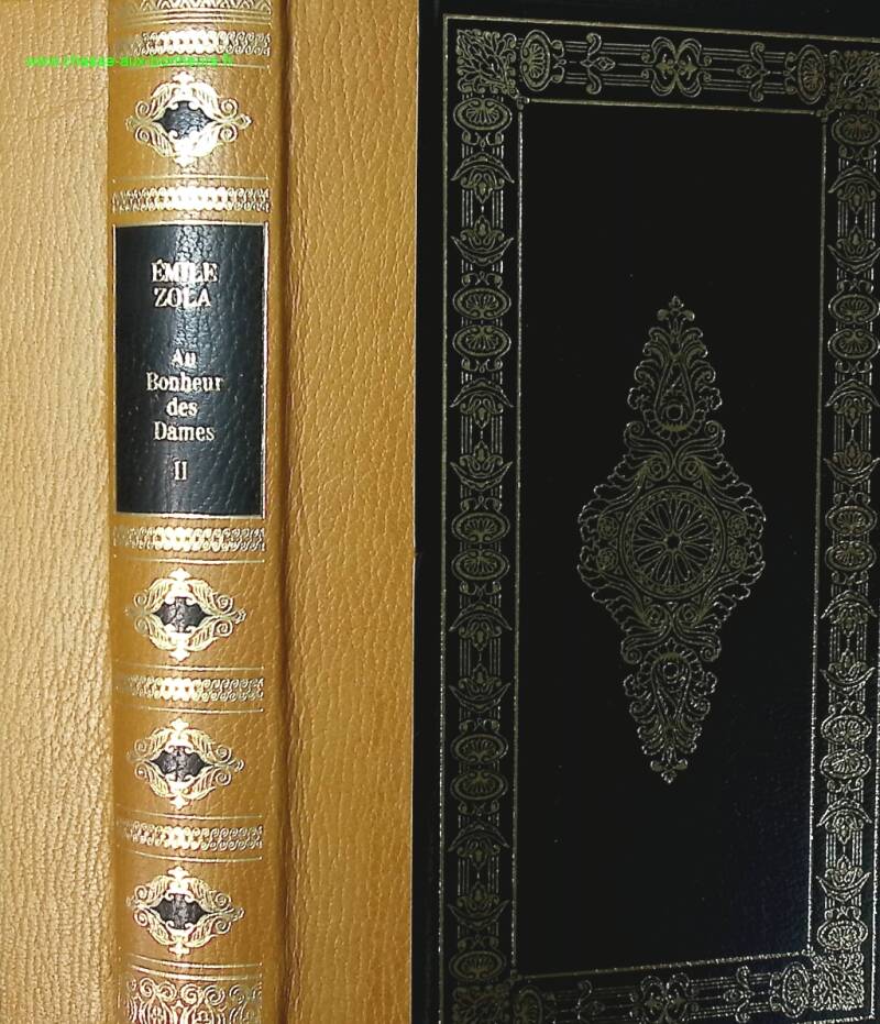 The Ladies' Paradise Volume 2 - Emile Zola - book