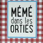Oma in den Brennnesseln – Aurélie Valognes – 2017 – Buch
