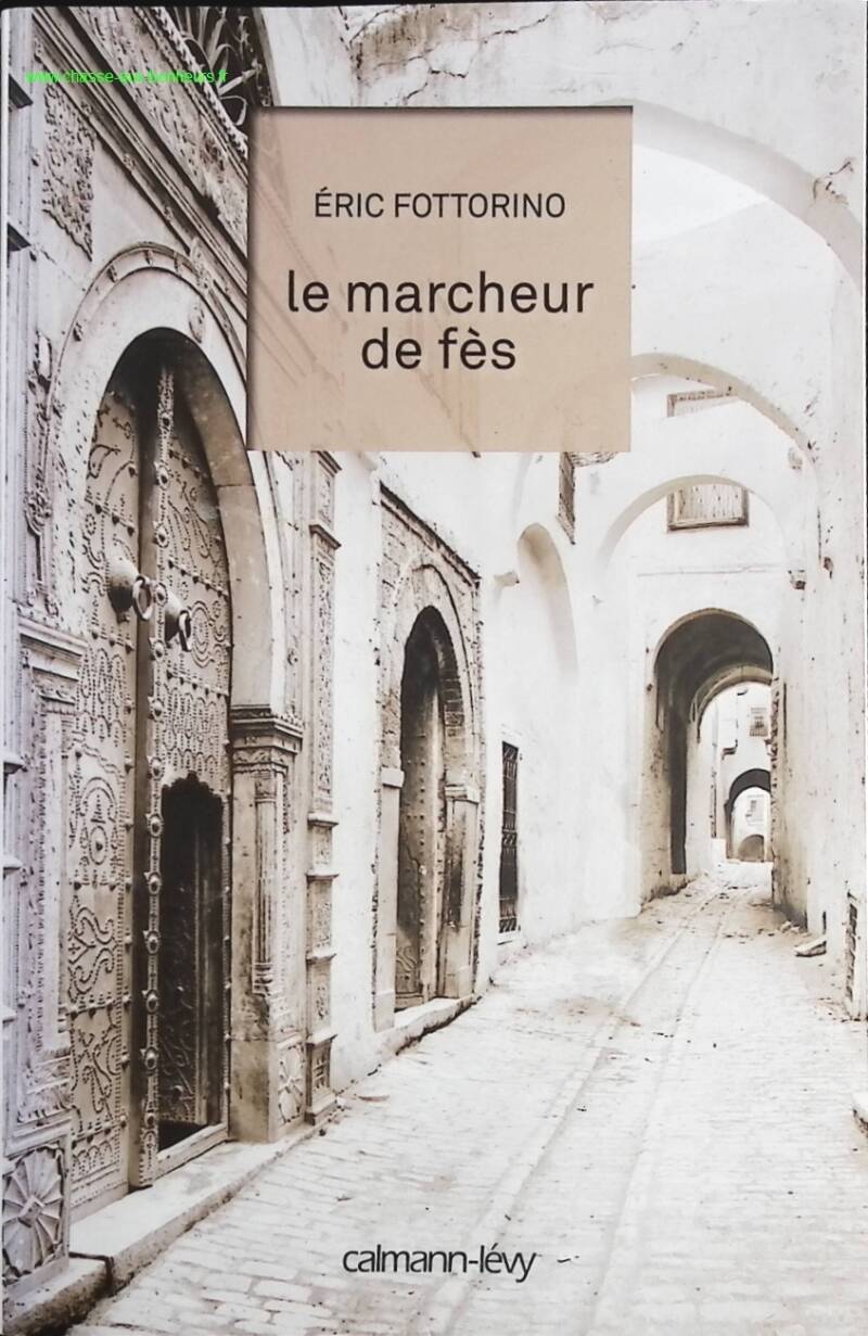 The Walker of Fez - Eric Fottorino - Book