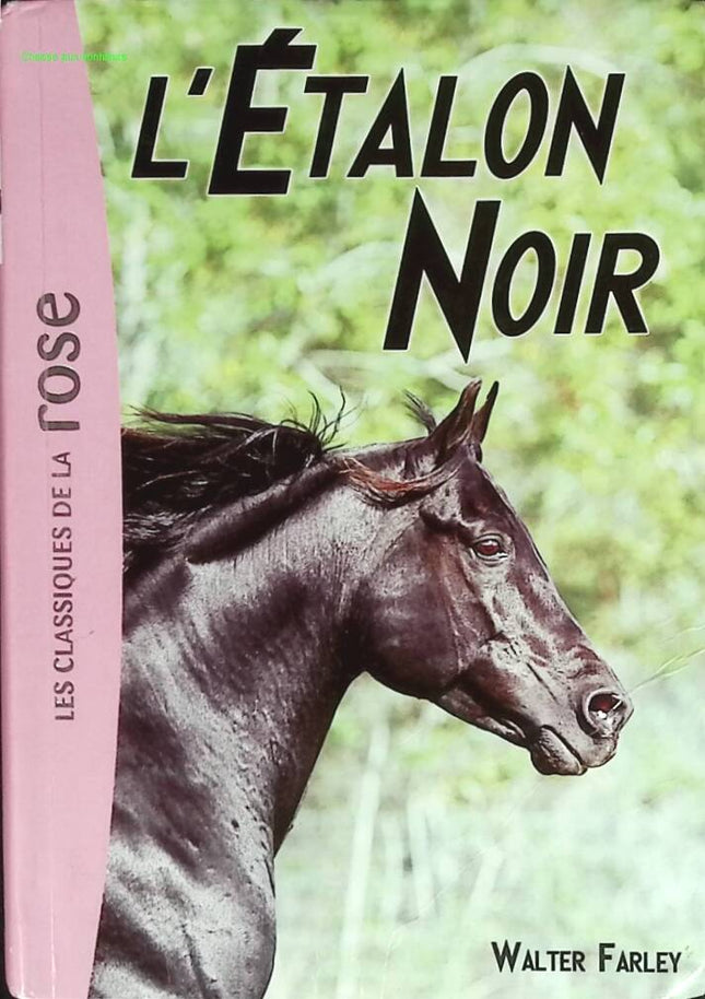 L'Étalon Noir - Bibliothèque rose - 2010 - livre