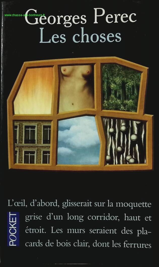 Dinge - Georges Pérec - Buch