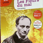 The Flowers of Evil - Charles Baudelaire - book
