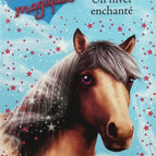 Bon état