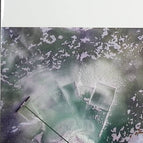 Pactum salis - Olivier Bourdeaut - Buch