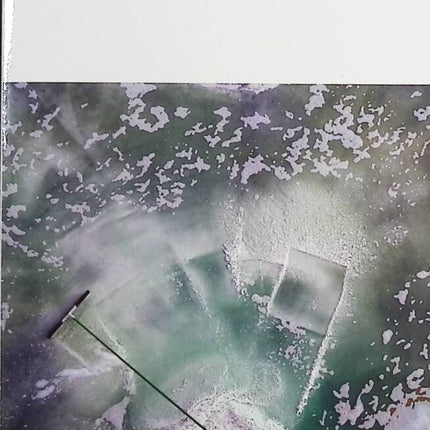 Pactum salis - Olivier Bourdeaut - Buch