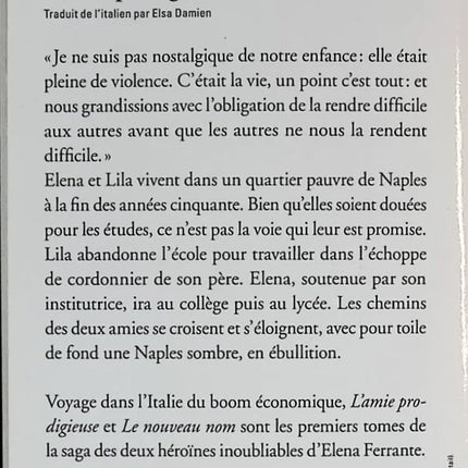 Meine geniale Freundin - Elena Ferrante - 2016 - Buch