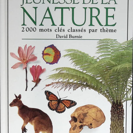 Dictionnaire jeunesse de la nature - David Burnie - 1994 - livre