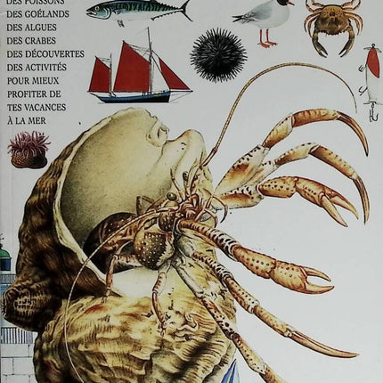 Au bord de la mer - Gallimard jeunesse - 1994 - livre