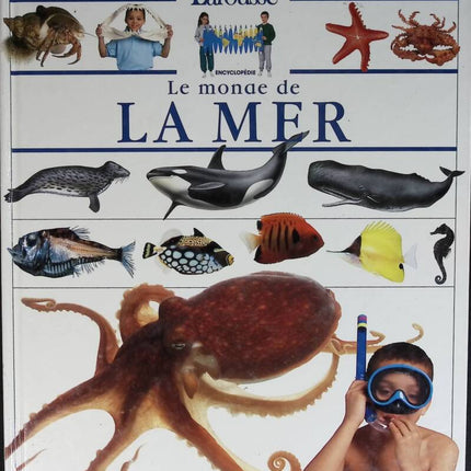 The World of the Sea - Larousse - 1993 - book