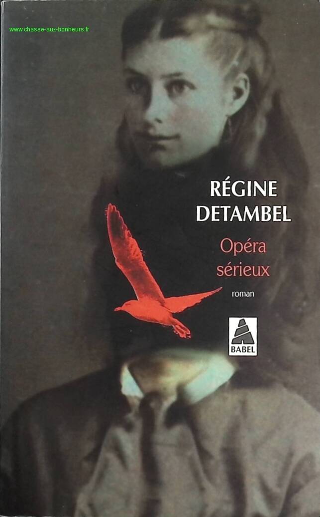 Serious Opera - Régine Detambel - Book