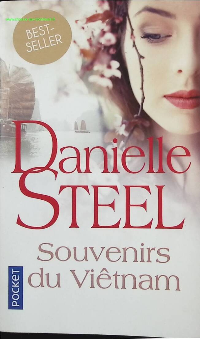 Memories of Vietnam - Danielle Steel - book