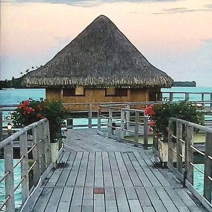 Die Reise Ihres Lebens in Polynesien - Célia Couronne - 2020 - Reisebuch
